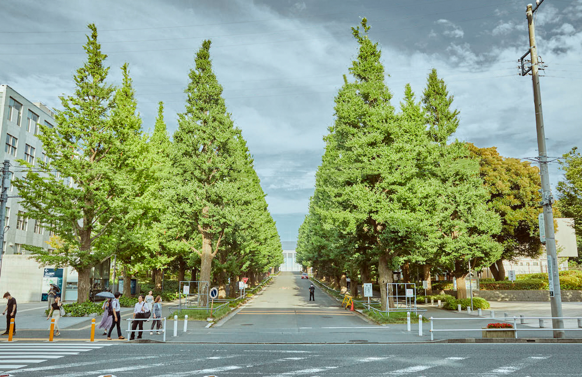 HIYOSHI 大学を物静かに囲む、「日吉」という落ち着き。